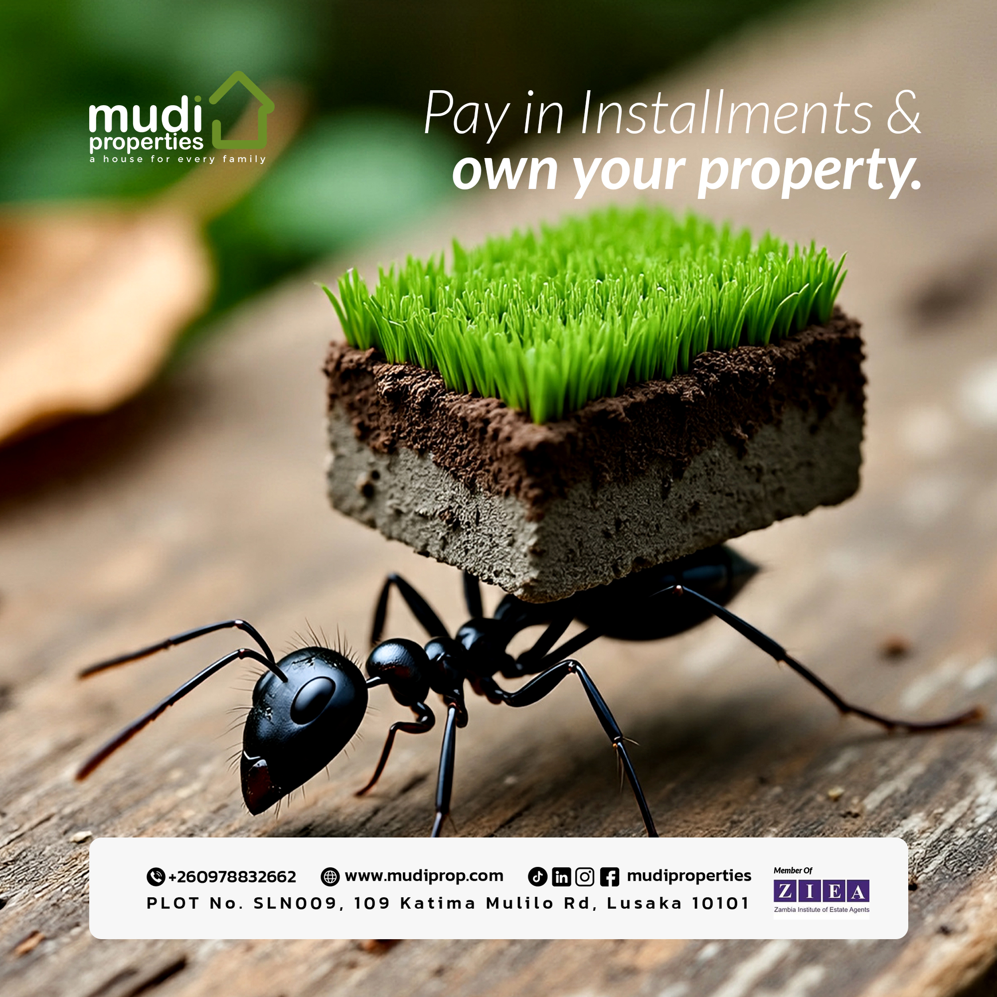 Mudi Properties